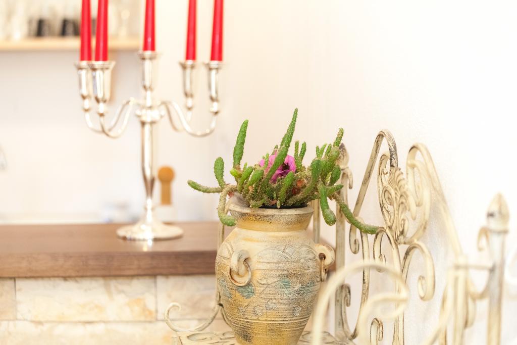 زادار Apartments Lara & Luka المظهر الخارجي الصورة